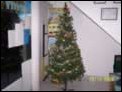 jetzt sollte der Tannenbaum fertig sein. Frohe Weihnachten an alle die uns kennen.